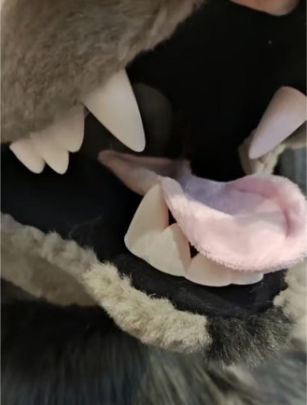 Fursuit Teeth