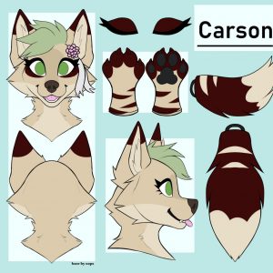 Carson - Premade Fursuit