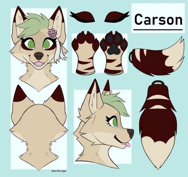 Carson - Premade Fursuit